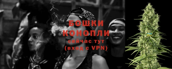 молекула духа Киреевск