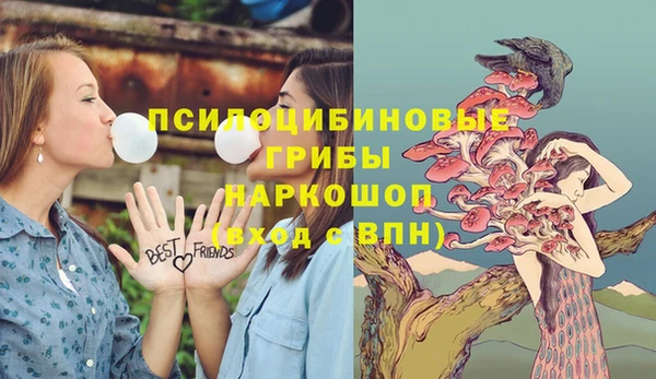 молекула духа Киреевск