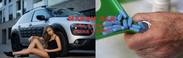 стаф Карпинск